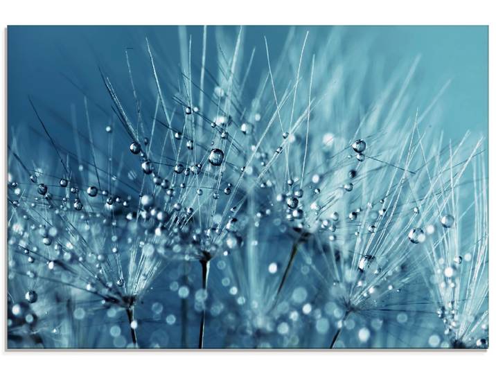Glasbild ARTLAND Blaue glitzernde Pusteblume , blau (farbe bild(er): blau), B:80cm H:60cm, Bilder, Glasbild, in verschiedenen Grössen