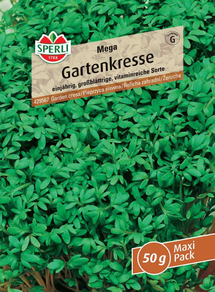 Sperli Gartenkresse Mega MaxiPack 50 g