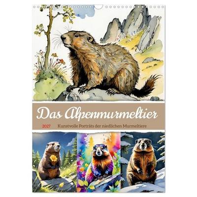 Das Alpenmurmeltier (Wandkalender 2027 DIN A3 hoch), CALVENDO Monatskalender