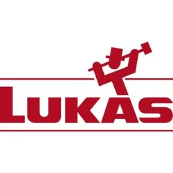 LUKAS Fächerscheibe SLTT ZK Ø 125 mm Körnung 60 flach - A27201250600065