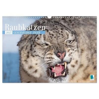 Raubkatzen: Geschmeidige Jäger (Wandkalender 2027 DIN A3 quer), CALVENDO Monatskalender