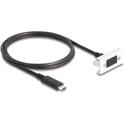 Delock Easy 45 Modul SuperSpeed USB 10 Gbps (1 m, USB 3.2 Gen 2), USB Kabel