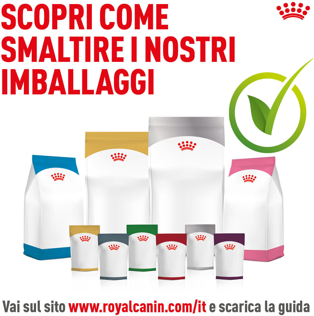 Royal Canin Mini Exigent 1KG