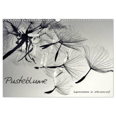 Pusteblume - Impressionen in schwarzweiß (Wandkalender 2027 DIN A3 quer), CALVENDO Monatskalender