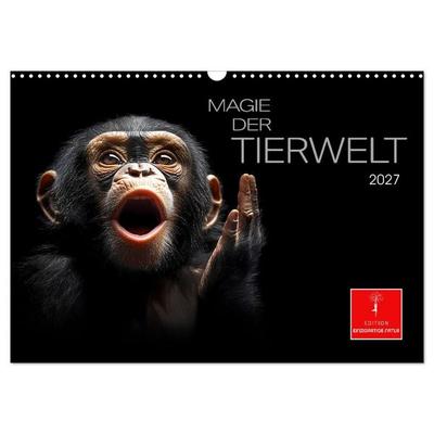 Magie der Tierwelt (Wandkalender 2027 DIN A3 quer), CALVENDO Monatskalender
