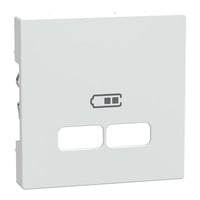 Zentralplatte polarweiß glänzend für USB Ladestation Einsatz Typ MEG4367-0319 weiß (glänzend), Retail