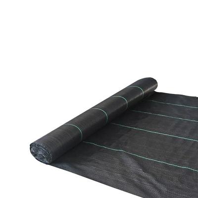 Saturnia Unkrautbekämpfungsnetz (Rolle 0,91x10 Meter)