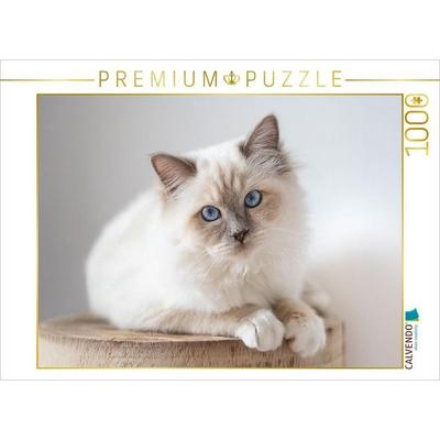 CALVENDO Puzzle Heilige Brima Katze - Kalani | 1000 Teile Lege-Größe 64x48cm Foto-Puzzle für glückliche Stunden, Sonstige von , Calvendo Puzzle