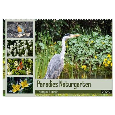 Paradies Naturgarten (Wandkalender 2026 DIN A2 quer), CALVENDO Monatskalender