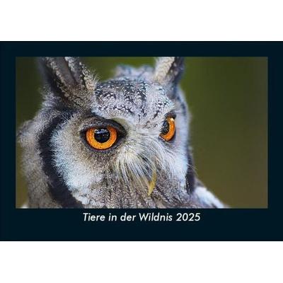 Tiere in der Wildnis 2025 Fotokalender DIN A5