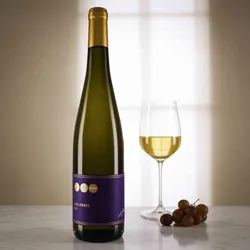 Weingut Lisa Bunn 2022 Lisa Bunn Orbel Riesling trocken 2022 Riesling Deutschland