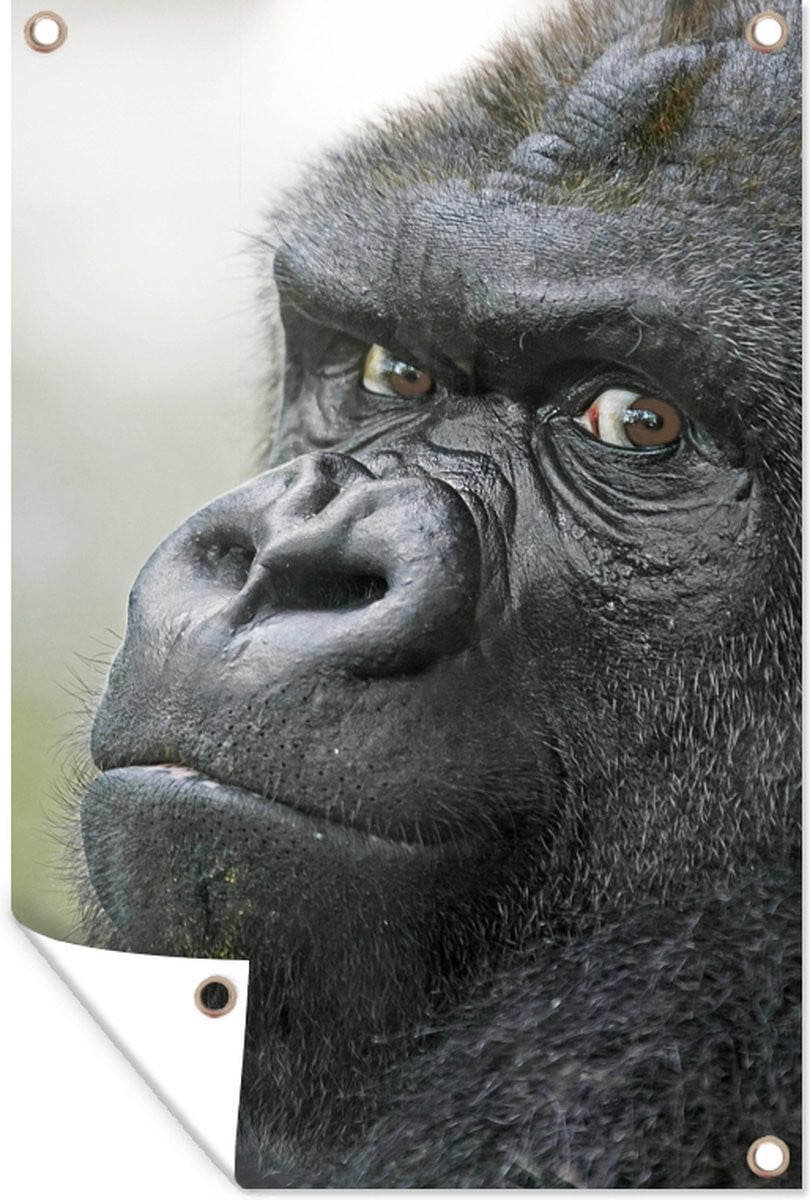 Tuindecoratie Gorilla Tuinposter voor buiten - B/H: 120 x 180 cm