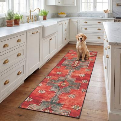 SAFAVIEH Tucson Bhagvati Transitional Machine Washable Rug