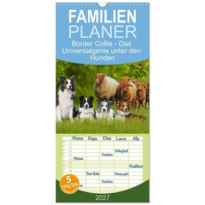 Familienplaner 2027 - Border Collie - Das Universalgenie unter den Hunden mit 5 Spalten (Wandkalender, 21 x 45 cm) CALVENDO