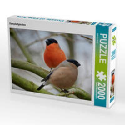 CALVENDO Puzzle Dompfaffpärchen | 2000 Teile Lege-Größe 90 × 67 cm Foto-Puzzle für glückliche Stunden