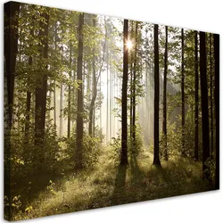 WANDBILD morgen im wald