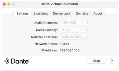 Dante DVS Pro One-Year
