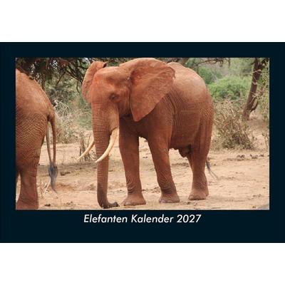 Elefanten Kalender 2027 Fotokalender DIN A5
