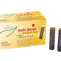IMOPHARM pharm.Handelsges.mbH GELEE ROYAL Aufbaukur M800 Trinkampullen 14X20 g 00014812