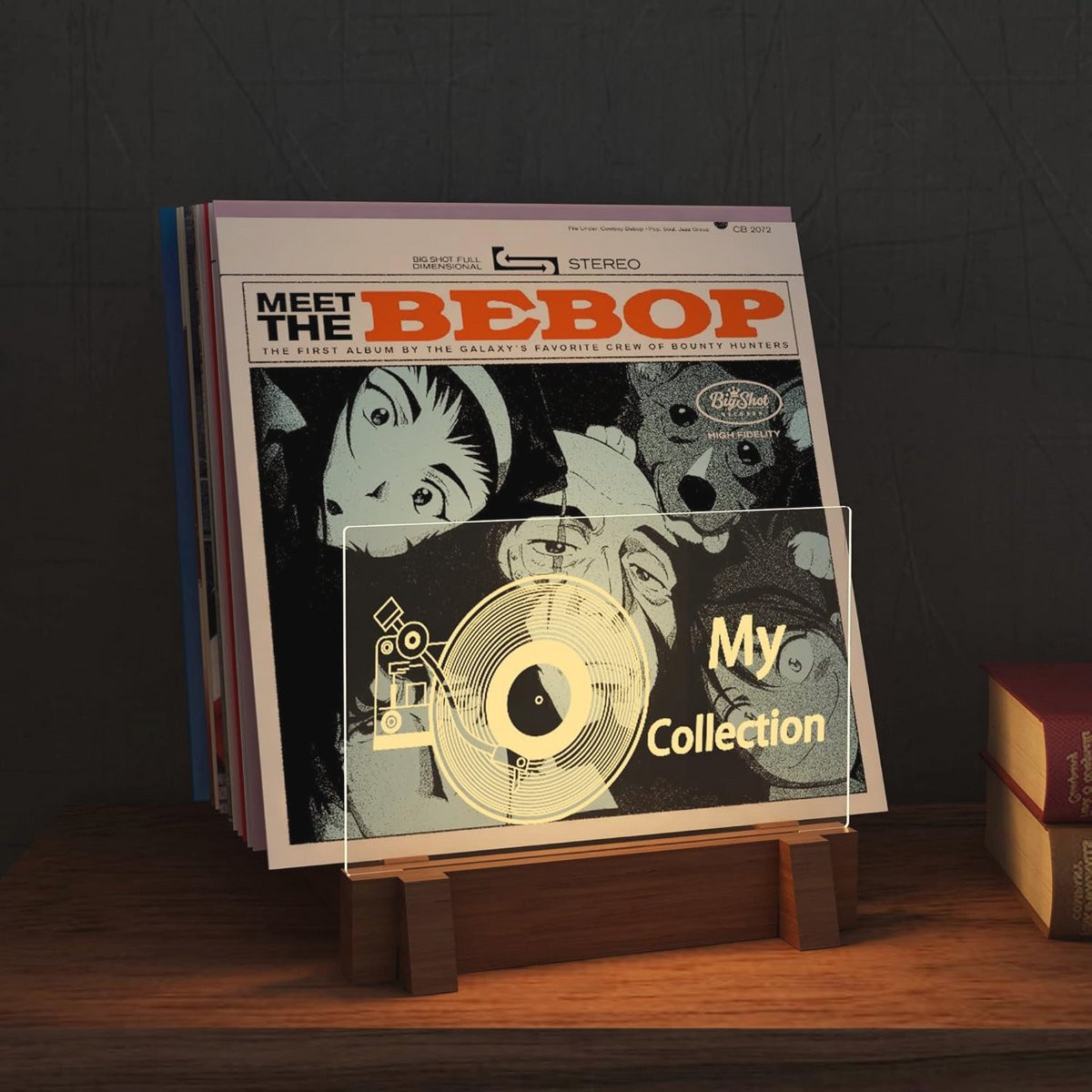 Vinyl Record Opslag en Display Plank met LED Verlichting - Houten Acryl Houder voor Albums