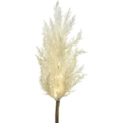 MARELIDA LED Zweig Pampasgras leuchtend Herbstdeko Winterdeko Deko Timer für Innen weiß