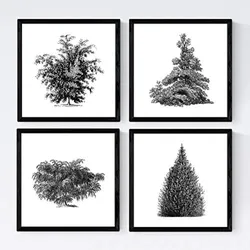 POSTER Set mit 4 Bädern Bäume und Sträucher weißer Hintergrund 20x20cm Rahmenlos