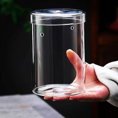 Uplift Essentials Micro Landscape Moss Cylinder Glass Bottle With Lid Micro Landscape Moss Cylinder Glass Bottle With Lid