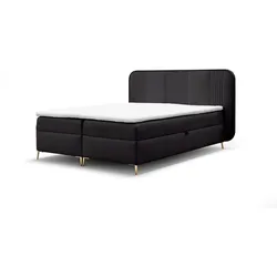 BOXBETT Avery