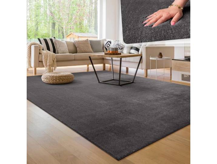 Paco Home Tapis Salon 140x200 cm Poils Courts Antidérapant Lavable Anthracite