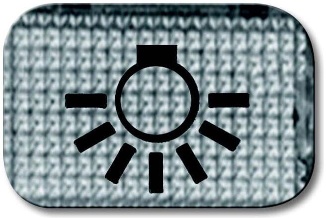 Busch-Jaeger Tastersymbol Licht 2145 LI (2CKA001714A0211)