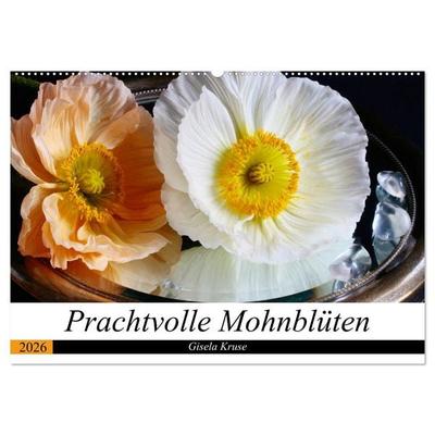 Prachtvolle Mohnblüten (Wandkalender 2026 DIN A2 quer), CALVENDO Monatskalender