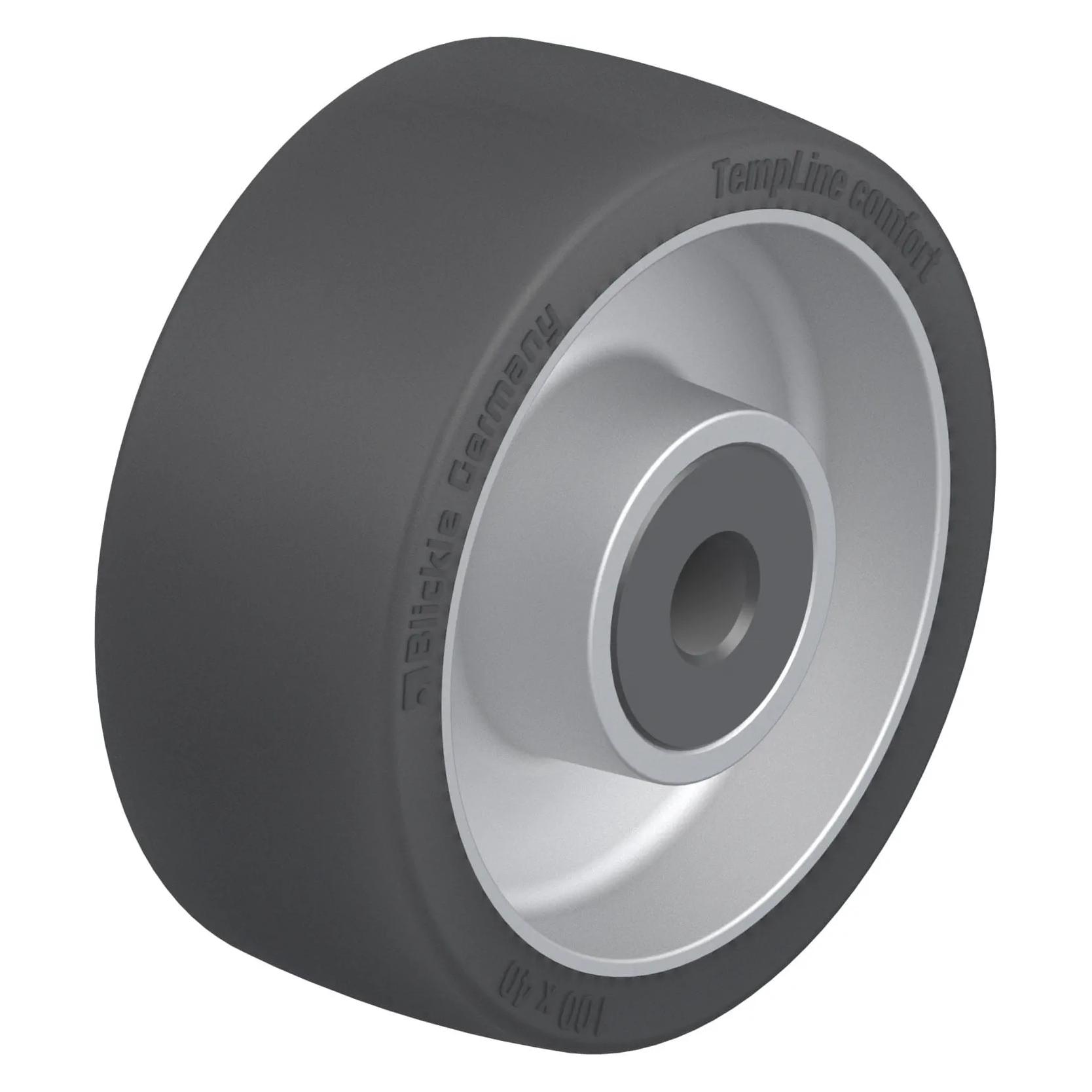 Blickle 752995 ALSI 100/12G 752995 ALSI 100/12G (752995)