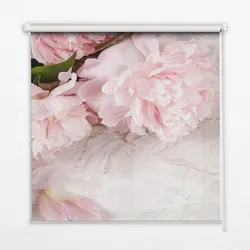 INNENROLLO - Fensterrollo - Rollo - 150x140 cm - Blumen