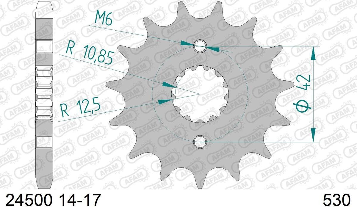 AFAM 24500-17 Kettenritzel