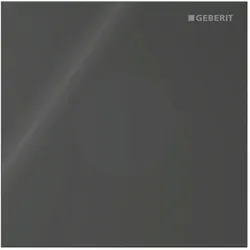 Geberit Typ 40 Abdeckplatte 246120SJ1 für Urinalsteuerung IR, Round, schwarz