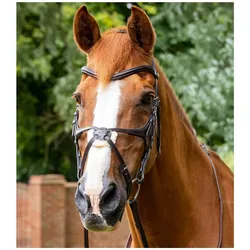 Premier Equine, Zaumzeug