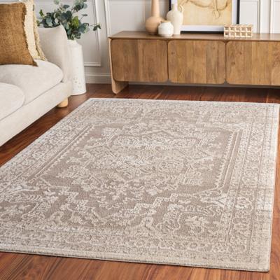 SAFAVIEH Chamber Ayako Medallion Area Rug