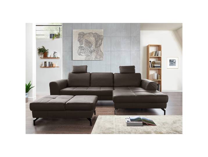 Ecksofa Lascaux Braun Echtleder Pua 284 x 87 x 175cm Longchair davorstehend rechts Modern
