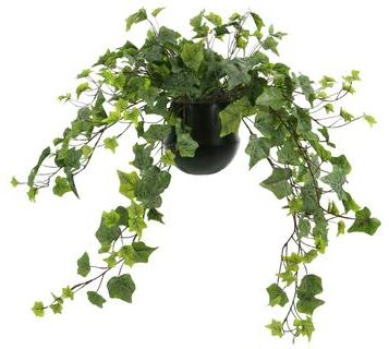Creative Labs Trailing Ivy in a Ceramic Pot - Green