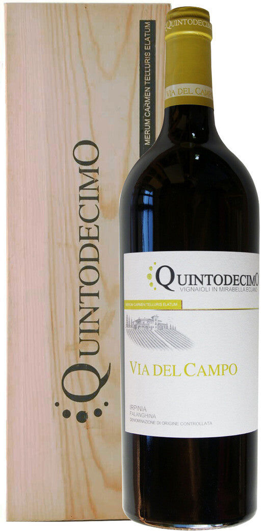 Falanghina 'Via del Campo' Magnum Quintodecimo 2024