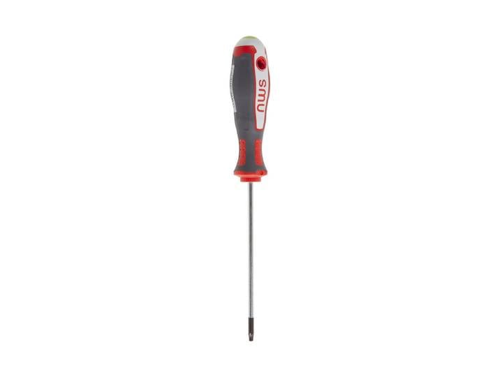 NWS Torx-Schraubendreher mit Bitantrieb
