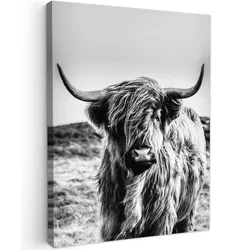 LEINWANDBILD Kuh - Schottischer Hochländer - Schwarz - Weiß - Tier - Natur - Wildtiere Room Decor 30x40 cm