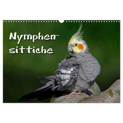 Nymphensittiche (Wandkalender 2026 DIN A3 quer), CALVENDO Monatskalender