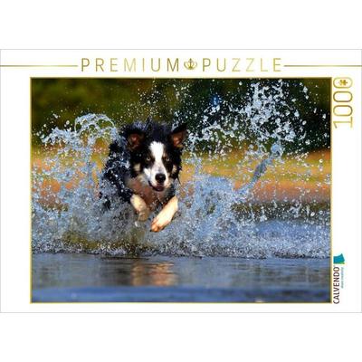 CALVENDO Puzzle Hund tobt im Wasser | 1000 Teile Lege-Größe 64x48cm Foto-Puzzle für glückliche Stunden