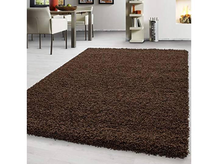 Teppium Tapis Salon Moderne Adulte Chambre Brun 140 x 200 cm - Shaggy Poil Long Moelleux et Doux - Concevoir Salle de Séjour Cuisine Moquette