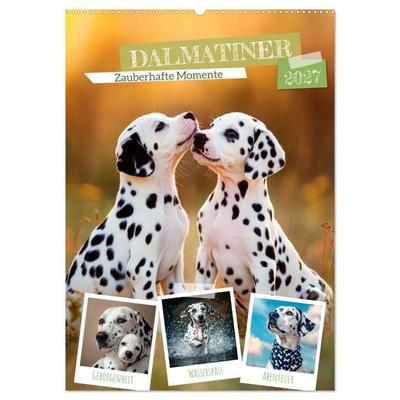 Dalmatiner - Zauberhafte Momente (Wandkalender 2027 DIN A2 hoch), CALVENDO Monatskalender