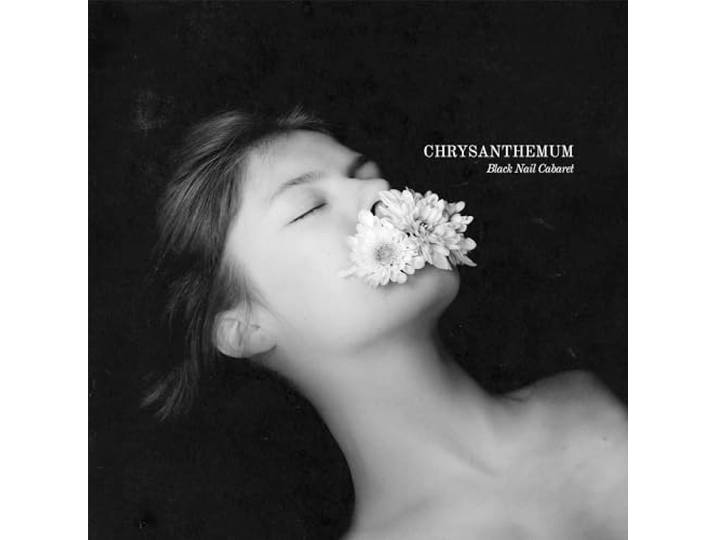 Chrysanthemum