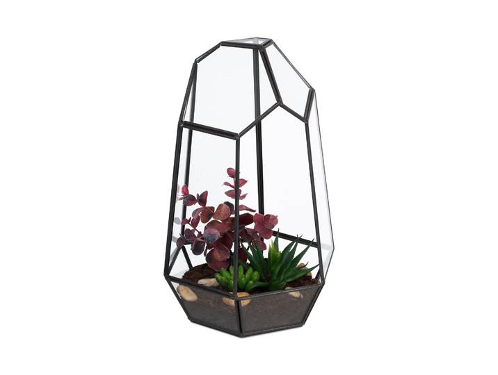 Geometrisches Pflanzenterrarium Glas Schwarz-Transparent