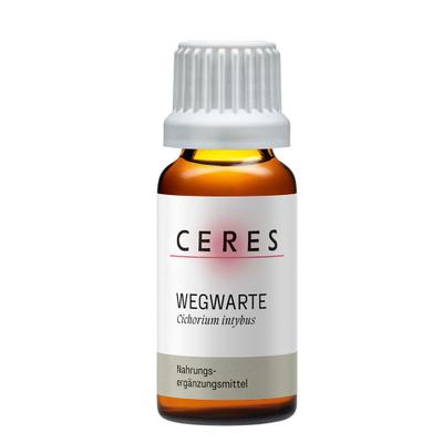 Ceres Wegwarte Cichorium intybus Extrakt Tropfen 20 ml