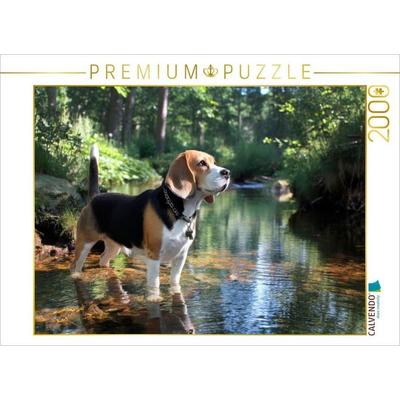 CALVENDO Puzzle Beagle - Auf Entdeckungstour im Wald | 2000 Teile Lege-Größe 90 × 67 cm Foto-Puzzle für glückliche Stunden, von , Calvendo Puzzle